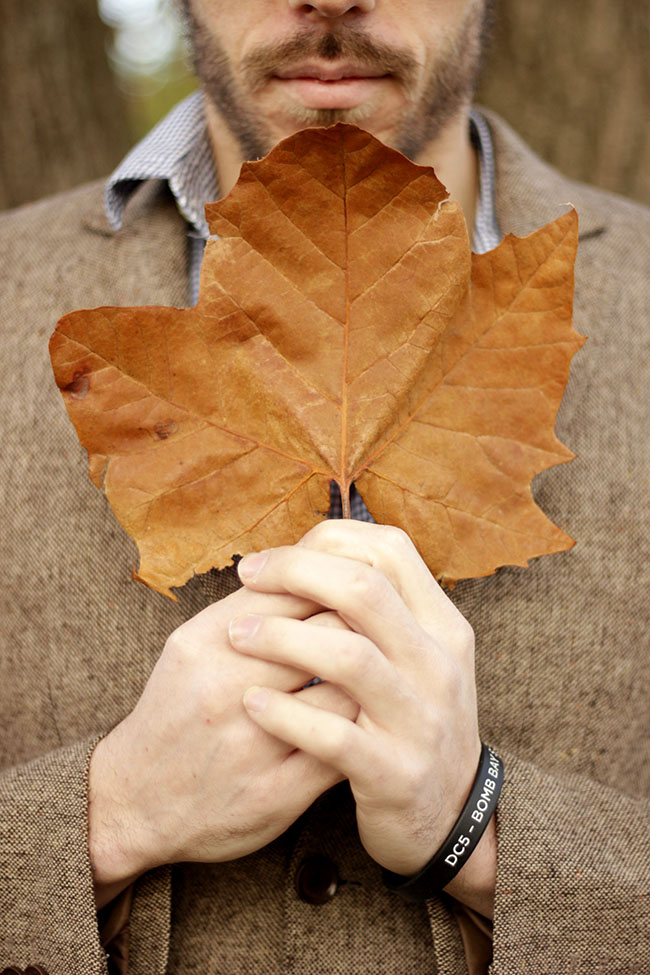 Close-up of leaf